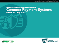 Small Merchant Common Payment Systems